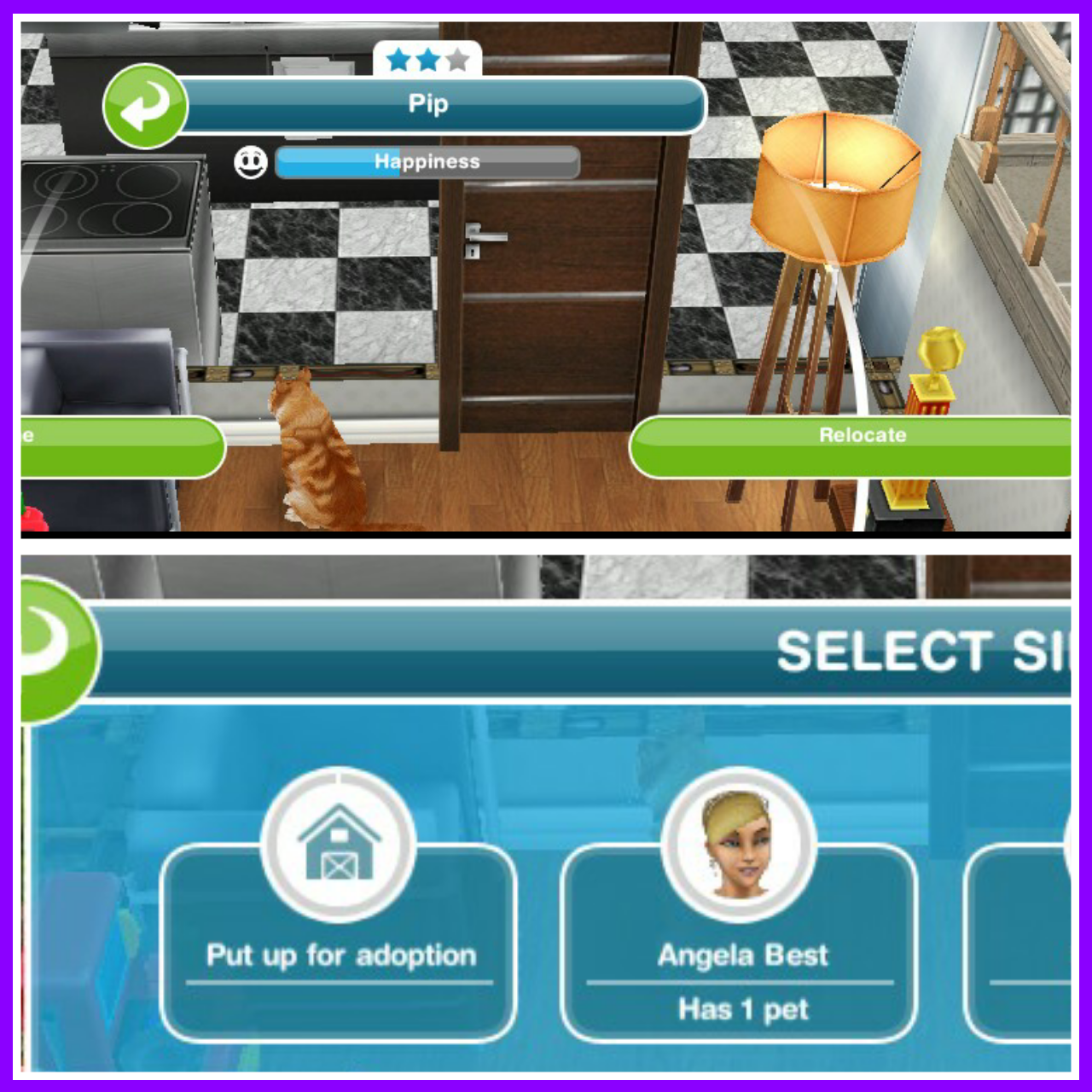 put dog up for adoption sims freeplay quests